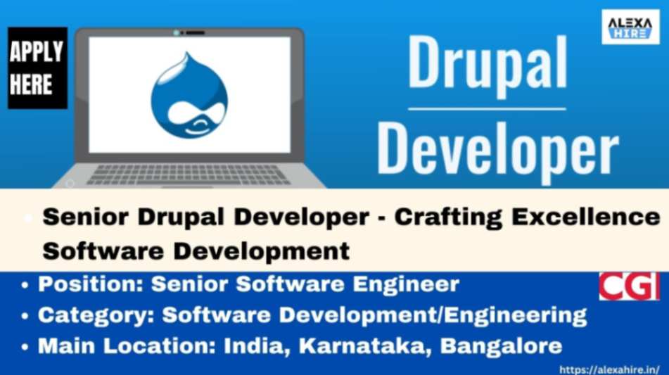 Senior Drupal Developer
