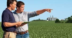 Food and Agriculture Organization manager