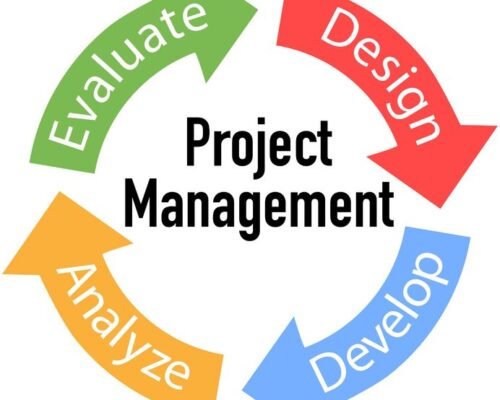 IT Project Manager , remote jobs