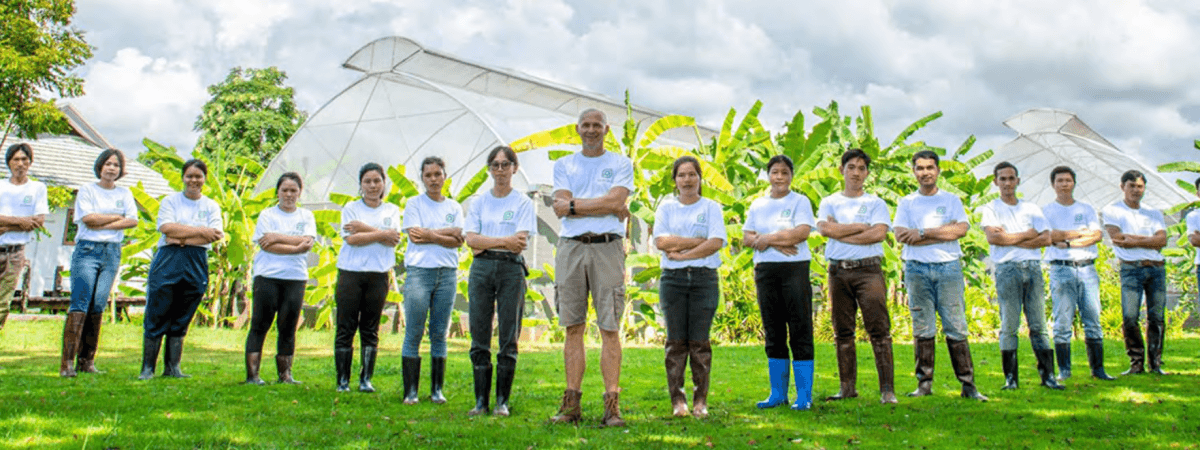 Food and Agriculture Organization manager job opportunity in 2024 | Best Salary