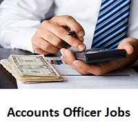 Accounts Officer role 