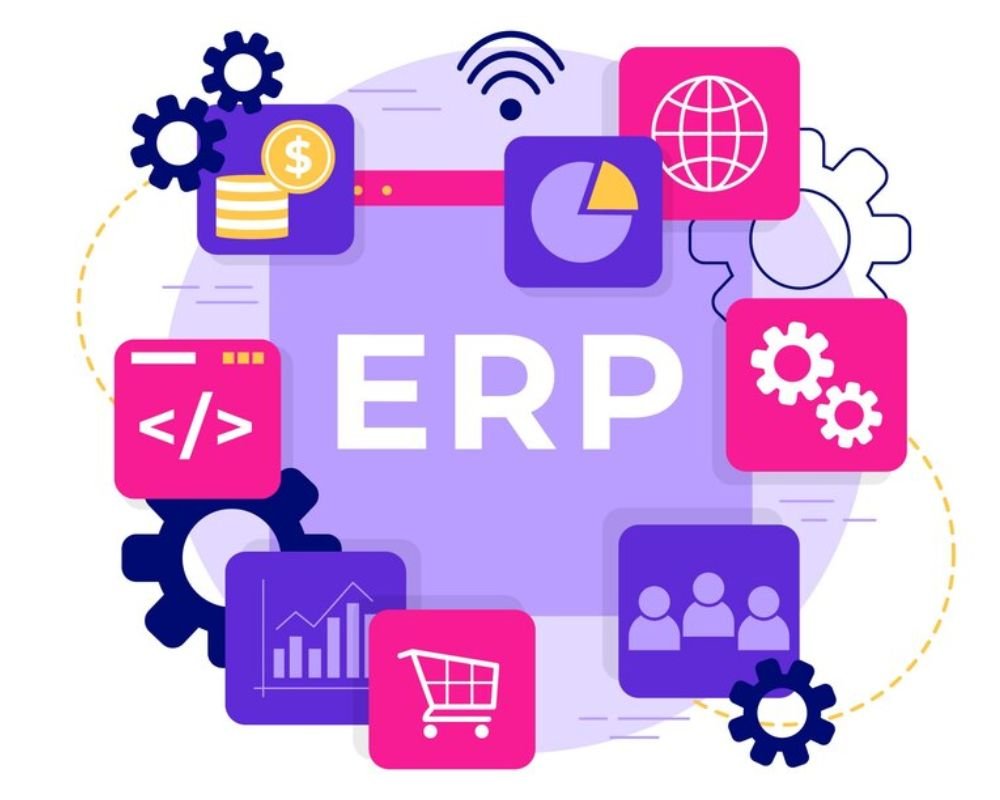 ERP Developer