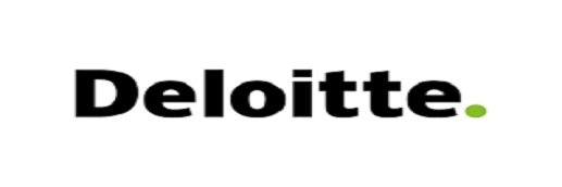 Deloitte Internship Program