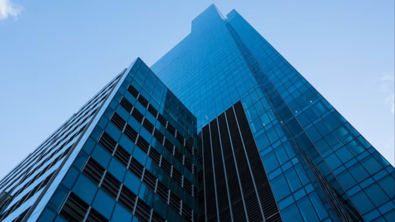 Ditto Hiring Business Excellence Operations| Apply Right Now