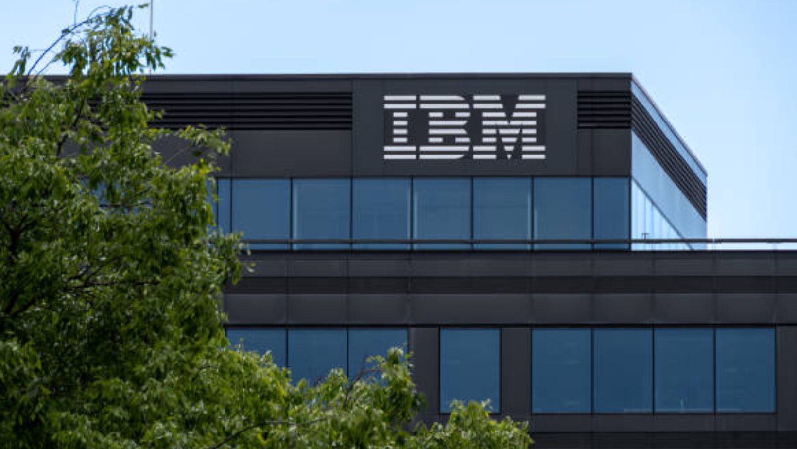 IBM Entry Level Carrer Opportunities | 1300+ job Vacancies | Apply Now