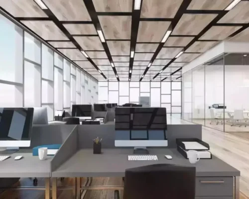 Exploring Opportunities for 12th Pass Job in India| Apply Now