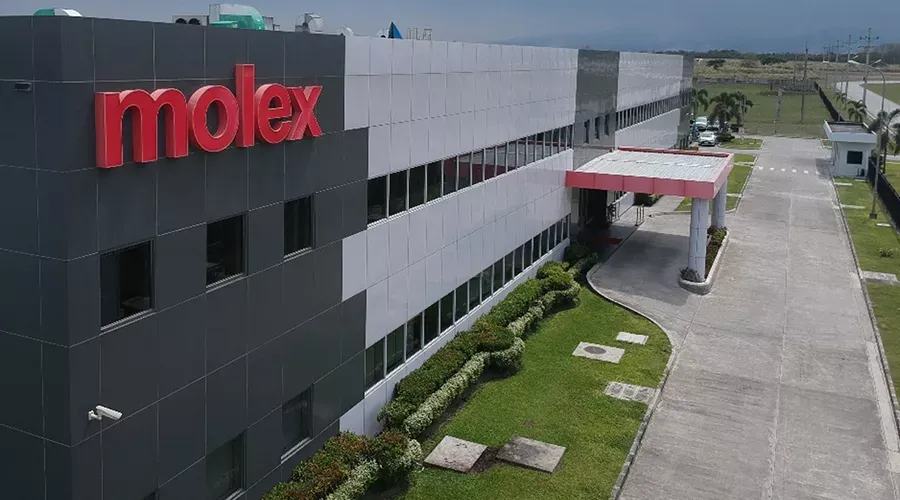 Molex Hiring Freshers