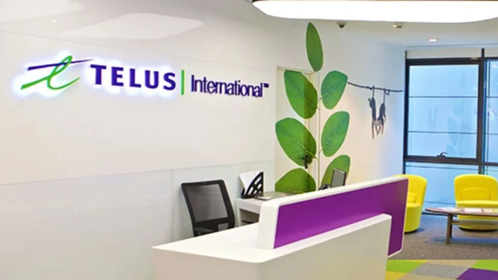 Telus Walk-in-Interview