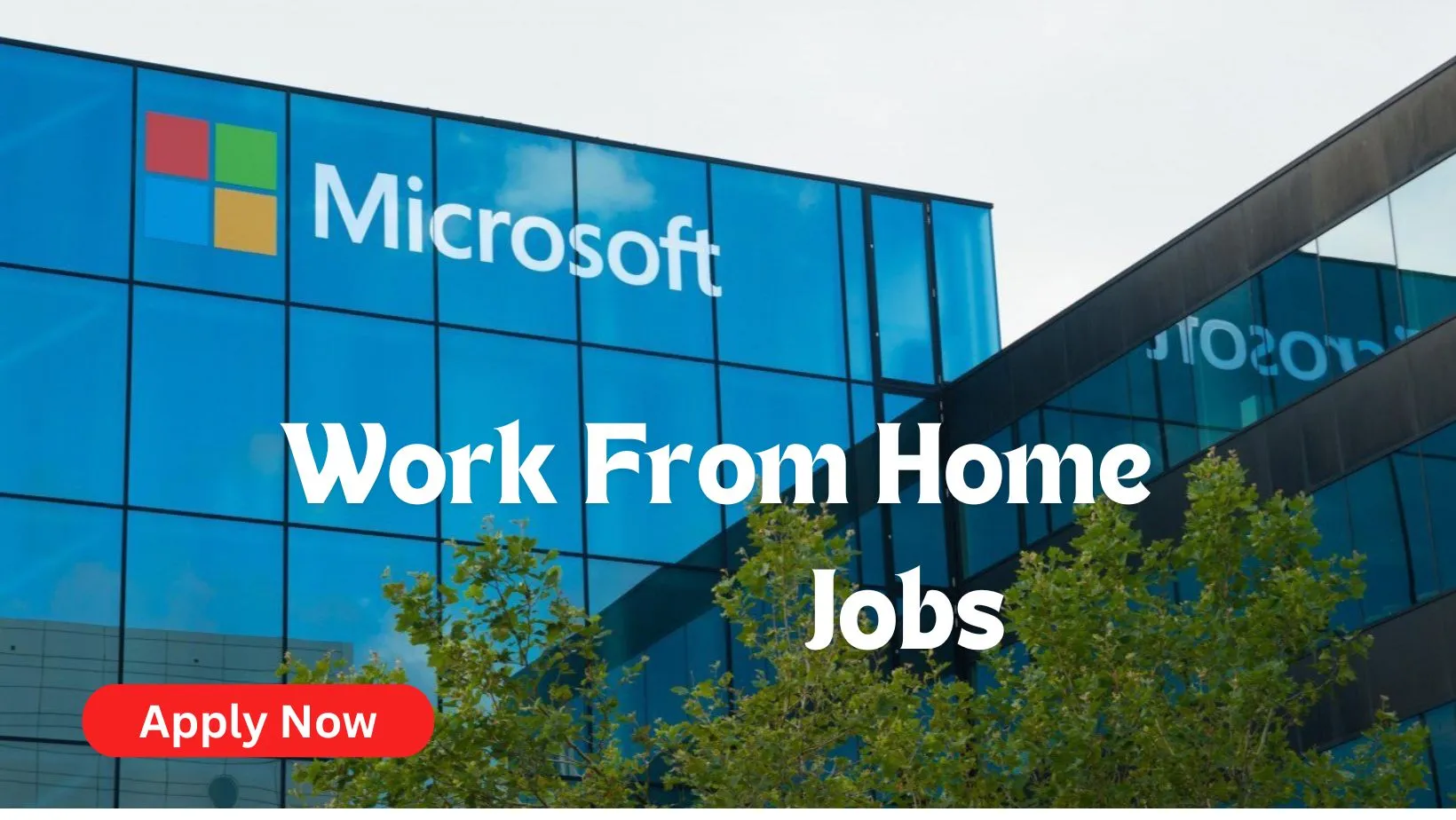 Microsoft Work From Home