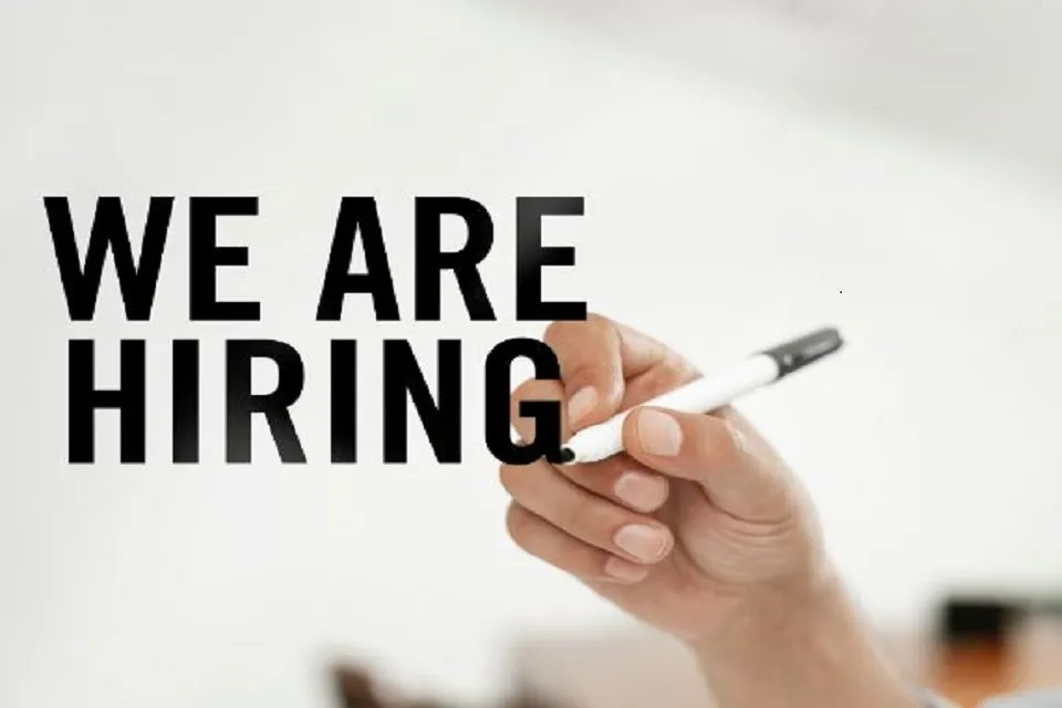 1000+ Canva Jobs Available in India| INR 2-5/- LPA| Apply Now