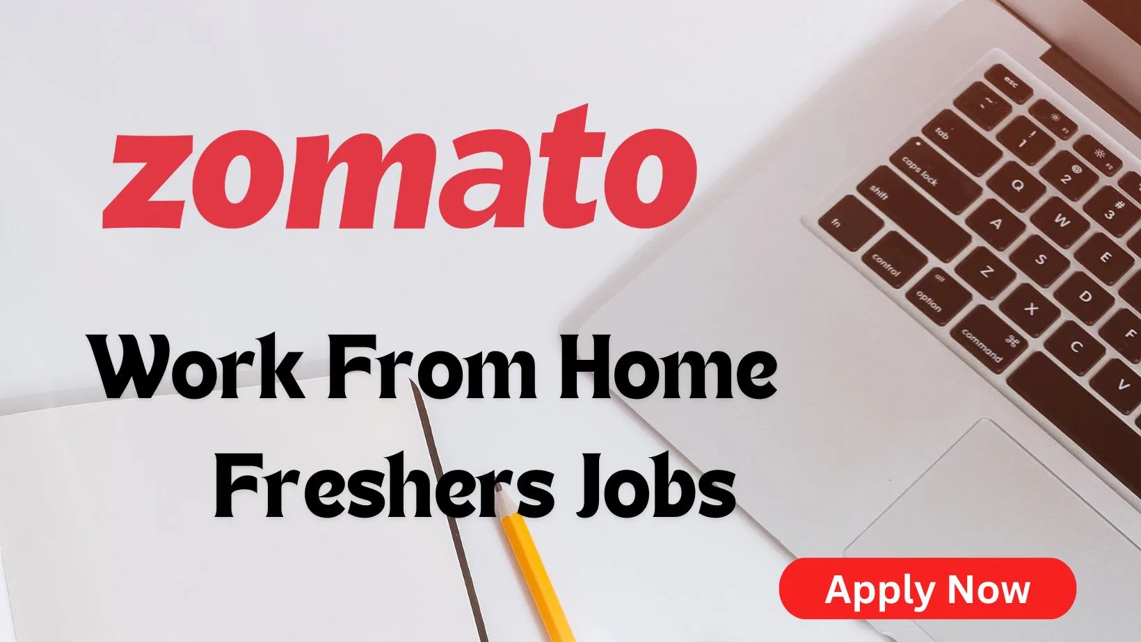 Zomato Jobs for freshers Work From Home| New Vacancy