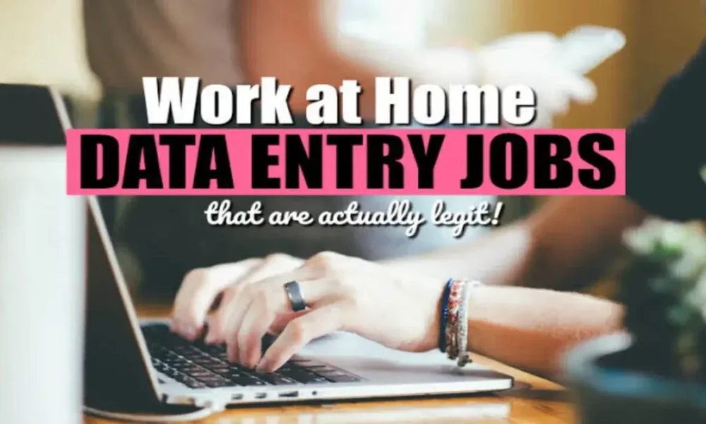 Data Entry Work from Home Job