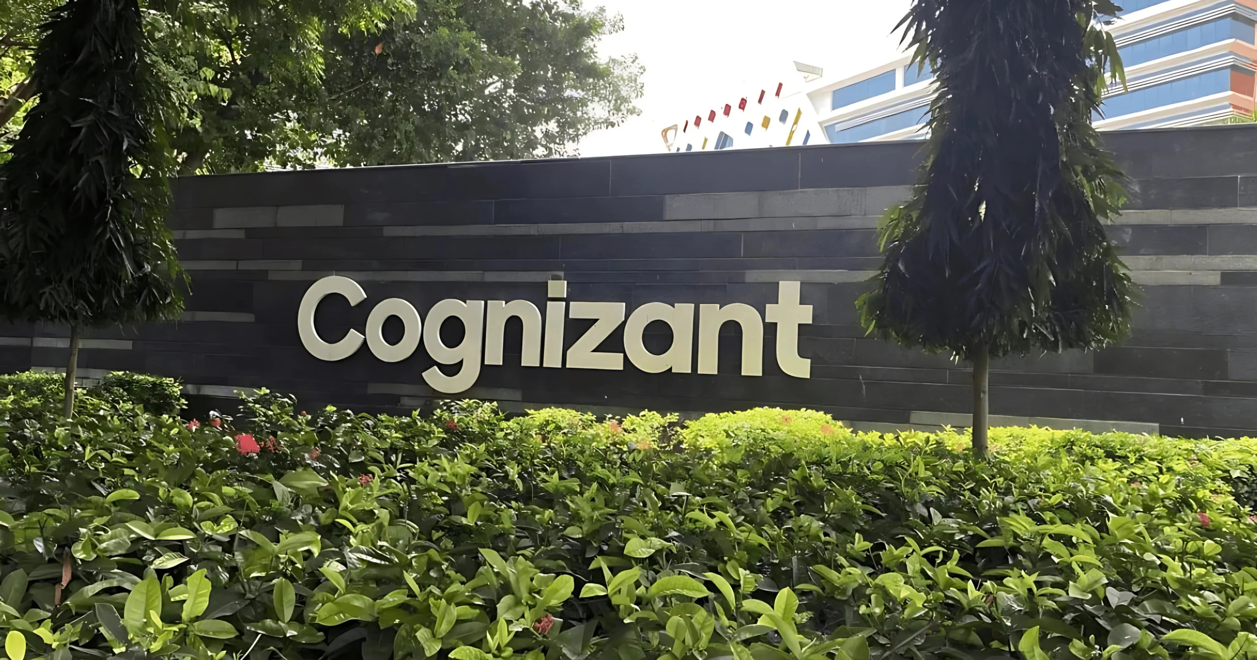 Cognizant Hiring Drupal Developer 2025
